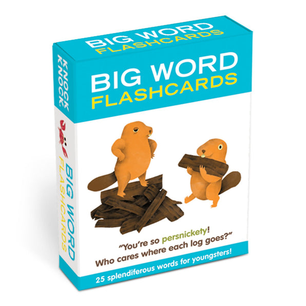 Knock Knock Big Word Flashcards - Knock Knock Stuff SKU 10104