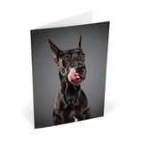 Knock Knock Lick Dogs Notecards (Large) - Knock Knock Stuff SKU 