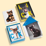 Knock Knock Lick Puppies Notecards (Small) - Knock Knock Stuff SKU 