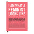 Knock Knock I Am What A Feminist Looks Like Inner-Truth®  Journal - Knock Knock Stuff SKU 