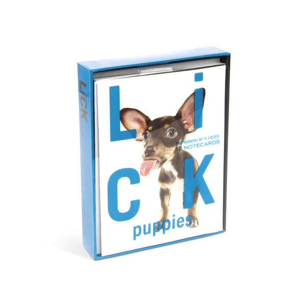 Knock Knock Lick Puppies Notecards (Small) Greeting Cards Set - Knock Knock Stuff SKU 29031