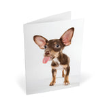 Knock Knock Lick Puppies Notecards (Small) - Knock Knock Stuff SKU 