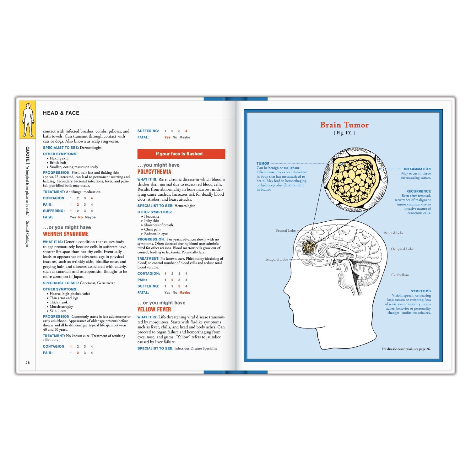 Knock Knock Complete Manual of Things that Might Kill You - Knock Knock Stuff SKU 