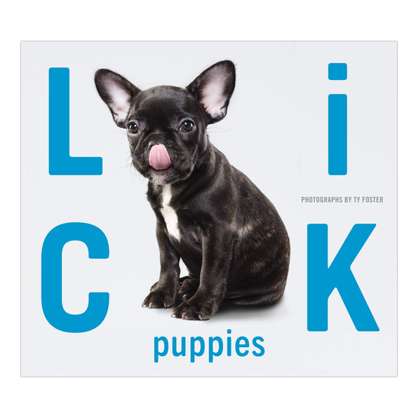 Knock Knock Lick Puppies - Knock Knock Stuff SKU 